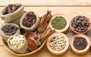 Obat Herbal untuk Diabetes: Cara Menurunkan Gula Darah Secara Alami
